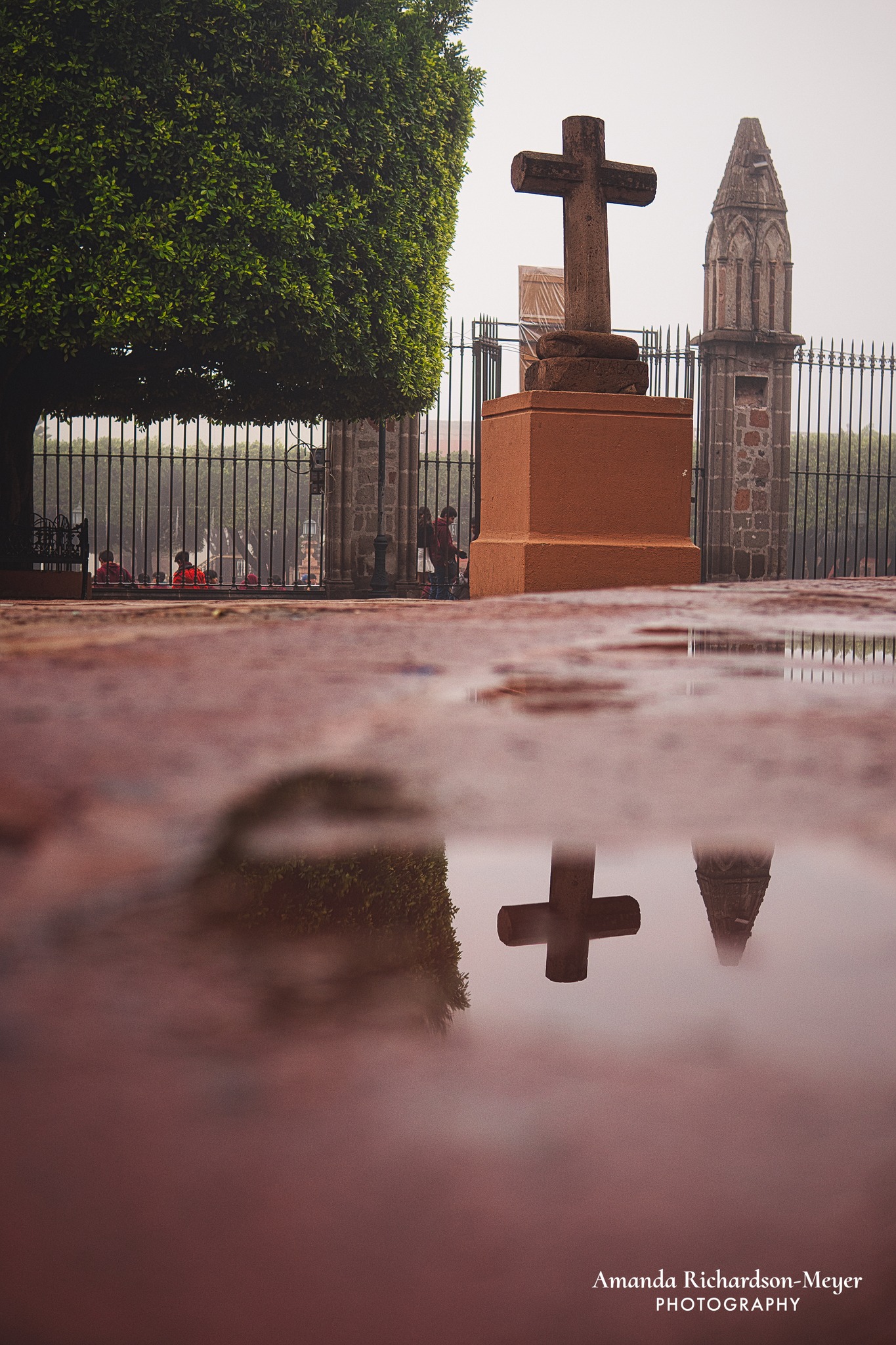 473322122 122230475000025381 4981705221032107396 n